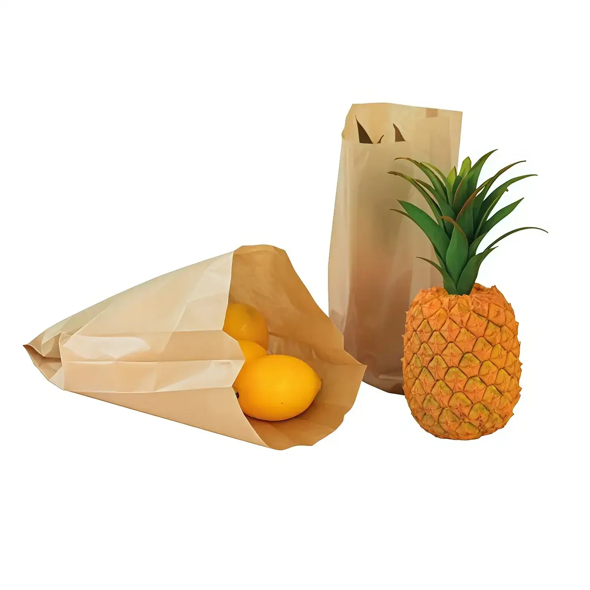 Sac fruits et légumes kraft brun 1kg 14 x 6 x 31 cm - Sac papier primeur - Lot de 1000 - Sacs fruits et légumes-2