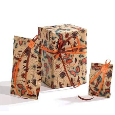 Pochettes cadeaux Transat - 30 + 9 x 49,5 cm - Pochettes cadeaux à motifs-3