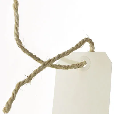 Étiquette américaine 120 x 57 mm Apli – Crème - Boîte de 1000 - Étiquettes à trou-5