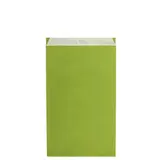 Pochette cadeau kraft vergé vert anis 18 x 6 x 33,5 cm - Sachet kraft - Lot de 250 - Pochettes cadeaux fête des pères