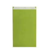 Pochette cadeau kraft vergé vert anis 25 x 7 x 41 cm - Sachet kraft - Lot de 250 - Pochettes cadeaux fête des pères