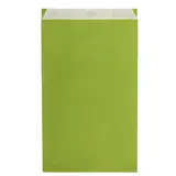 Pochette cadeau kraft vergé vert anis 30 x 9 x 49,5 cm - Sachet kraft - Lot de 250 - Pochettes cadeaux fête des pères
