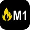 M1
