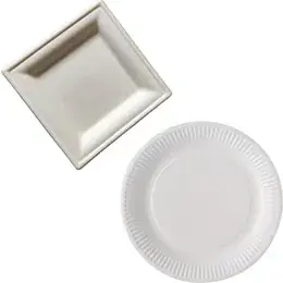 Assiettes jetables, Assiettes plastique réutilisables